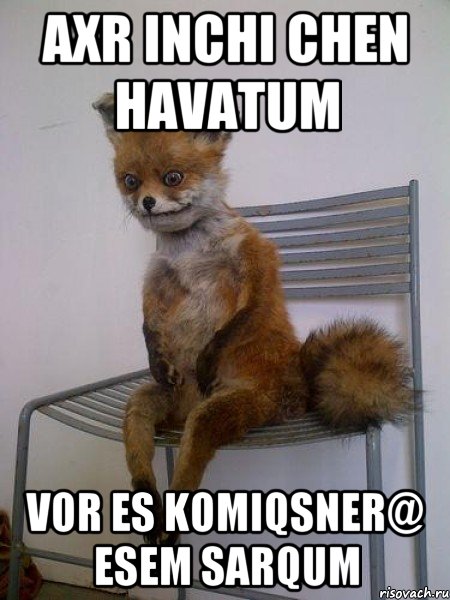 axr inchi chen havatum vor es komiqsner@ esem sarqum, Мем Упоротая лиса