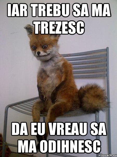 iar trebu sa ma trezesc da eu vreau sa ma odihnesc, Мем Упоротая лиса