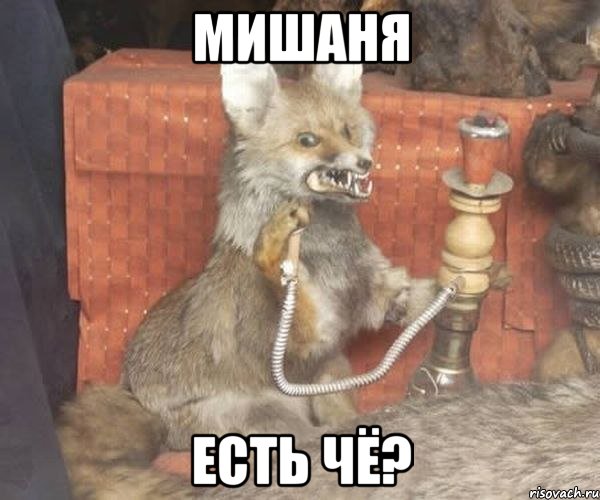 мишаня есть чё?