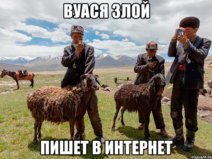 вуася злой пишет в интернет