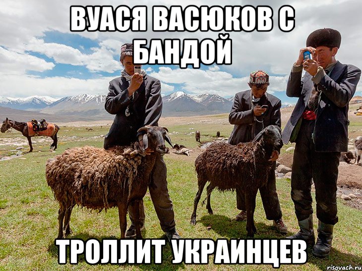 вуася васюков с бандой троллит украинцев