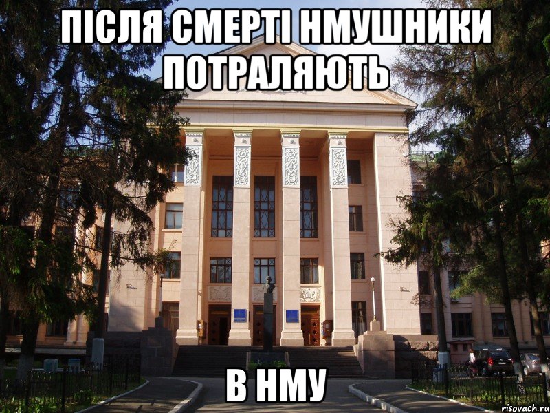 після смерті нмушники потраляють в нму
