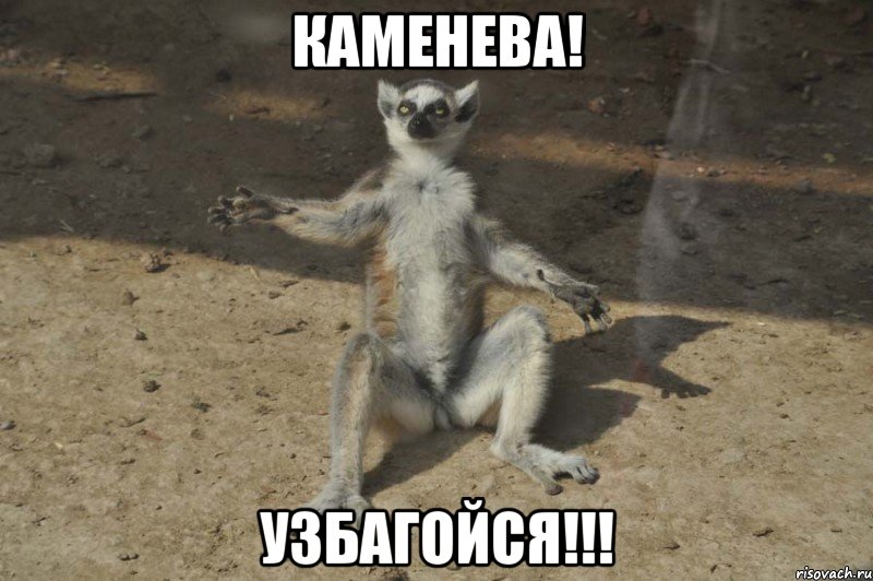 каменева! узбагойся!!!