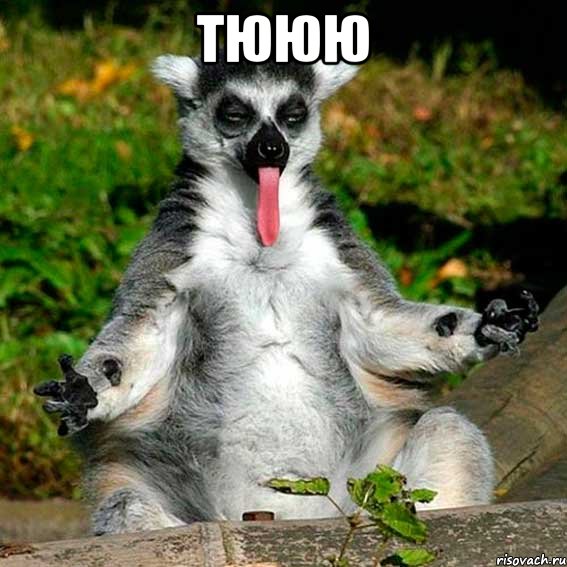 тююю 