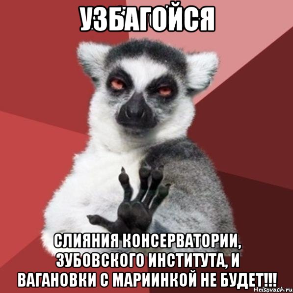 узбагойся слияния консерватории, зубовского института, и вагановки с мариинкой не будет!!!, Мем Узбагойзя