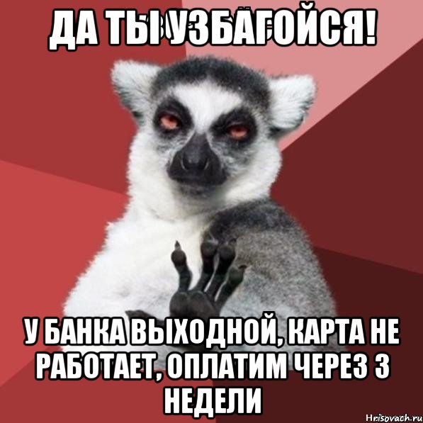 да ты узбагойся! у банка выходной, карта не работает, оплатим через 3 недели, Мем Узбагойзя