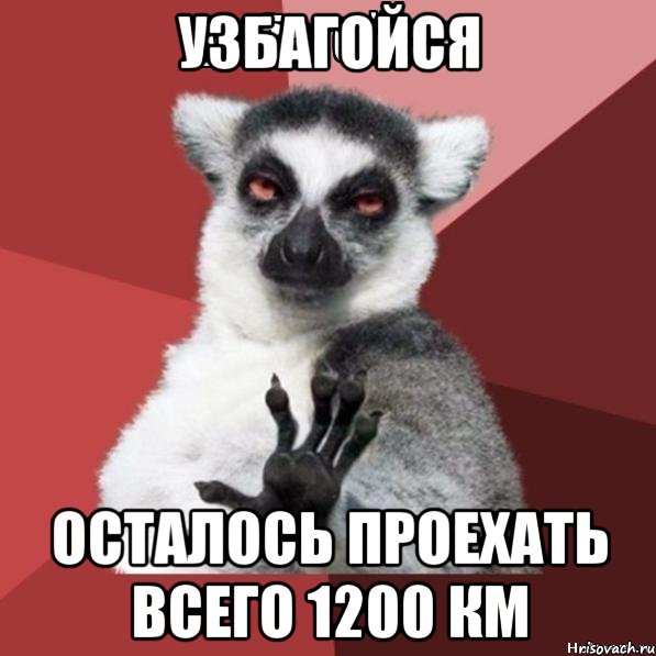 узбагойся осталось проехать всего 1200 км, Мем Узбагойзя