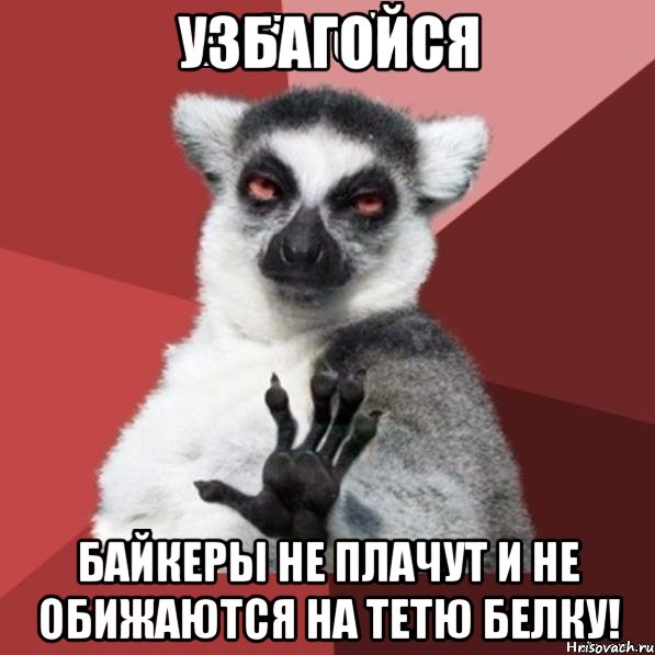 узбагойся байкеры не плачут и не обижаются на тетю белку!, Мем Узбагойзя