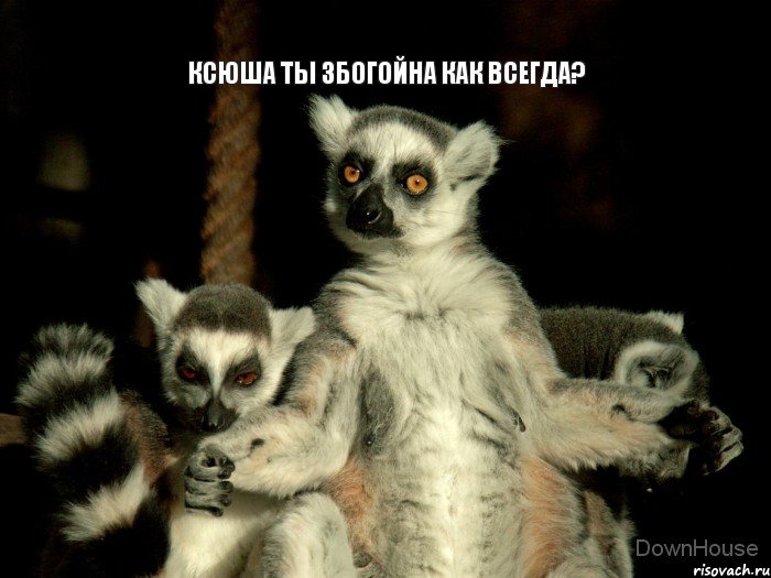 Ксюша ты збогойна как всегда?