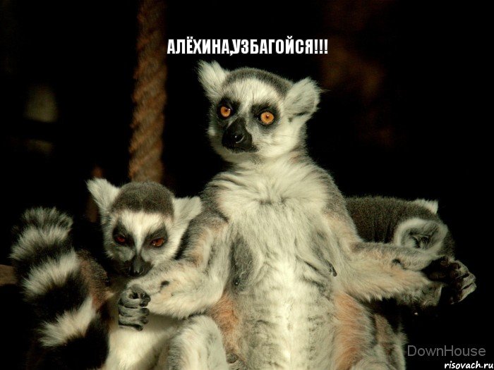 Алёхина,УЗБАГОЙСЯ!!!