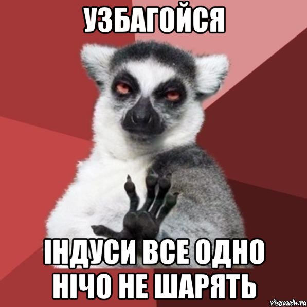 узбагойся індуси все одно нічо не шарять, Мем Узбагойзя