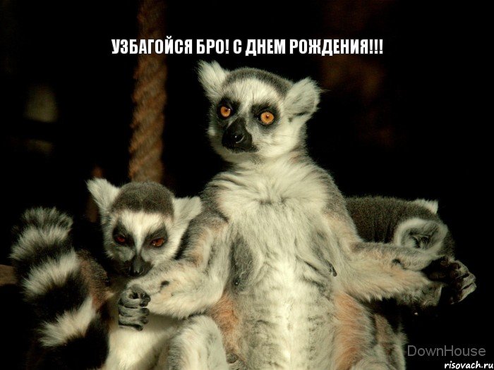 Узбагойся бро! С днем рождения!!!