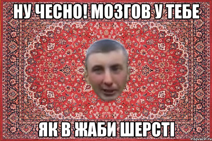 ну чесно! мозгов у тебе як в жаби шерсті