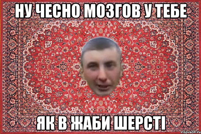 ну чесно мозгов у тебе як в жаби шерсті