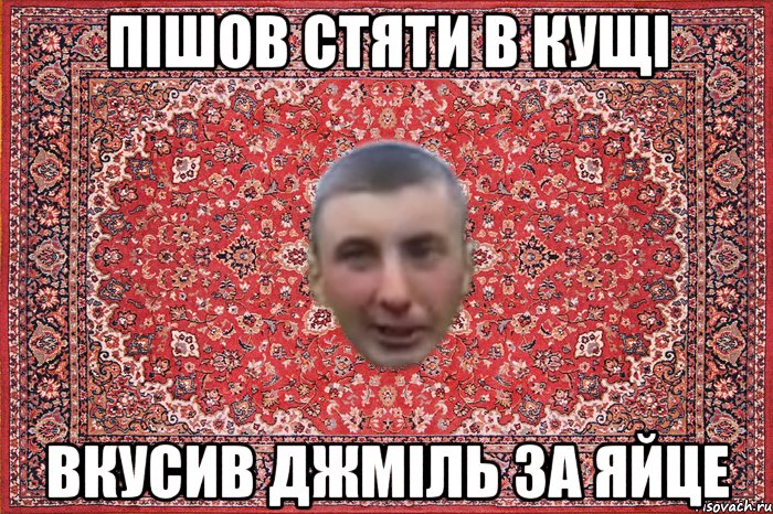 пішов стяти в кущі вкусив джміль за яйце