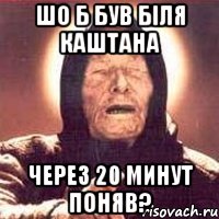 шо б був біля каштана через 20 минут поняв?, Мем Ванга (цвет)