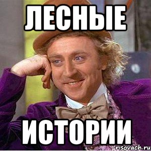 лесные истории, Мем Ну давай расскажи (Вилли Вонка)