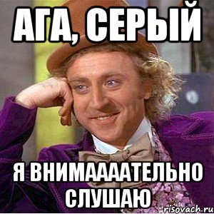 ага, серый я внимаааательно слушаю, Мем Ну давай расскажи (Вилли Вонка)