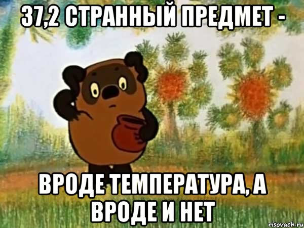 37,2 странный предмет - вроде температура, а вроде и нет, Мем Винни пух чешет затылок