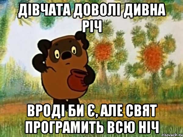 дівчата доволі дивна річ вроді би є, але свят програмить всю ніч, Мем Винни пух чешет затылок