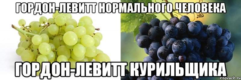 гордон-левитт нормального человека гордон-левитт курильщика