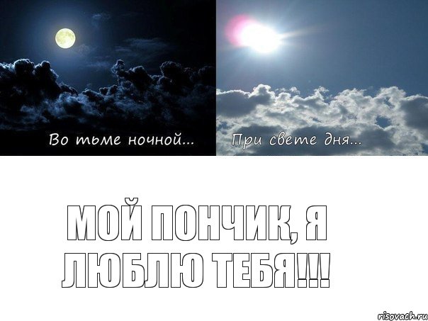 мой пончик, я люблю тебя!!!