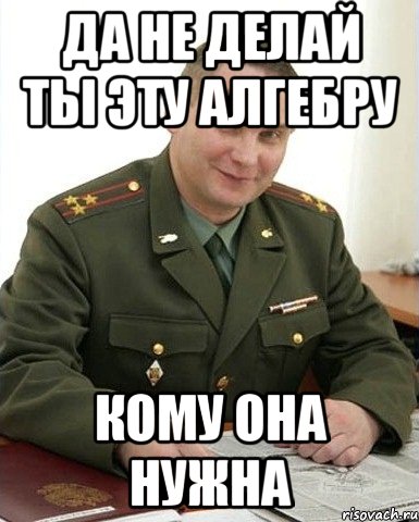 да не делай ты эту алгебру кому она нужна, Мем Военком (полковник)