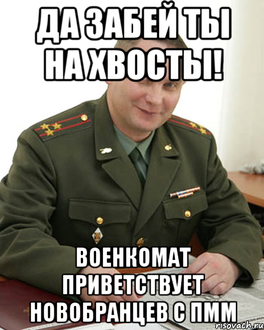 да забей ты на хвосты! военкомат приветствует новобранцев с пмм, Мем Военком (полковник)