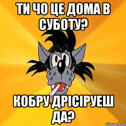 ти чо це дома в суботу? кобру дрісіруеш да?, Мем Волк