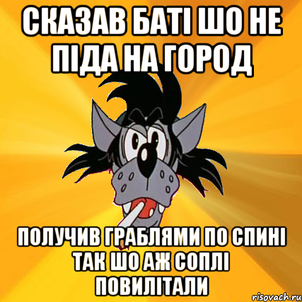 сказав баті шо не піда на город получив граблями по спині так шо аж соплі повилітали, Мем Волк