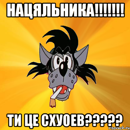 нацяльника!!! ти це схуоев???, Мем Волк