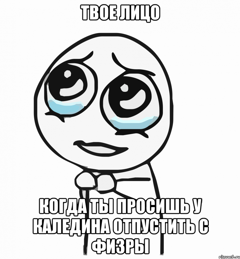 твое лицо когда ты просишь у каледина отпустить с физры, Мем  ну пожалуйста (please)