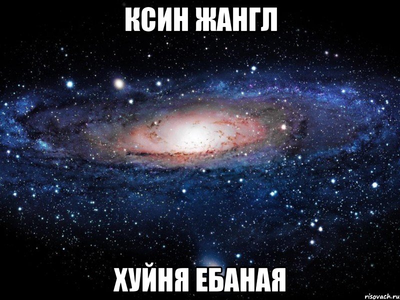 ксин жангл хуйня ебаная, Мем Вселенная