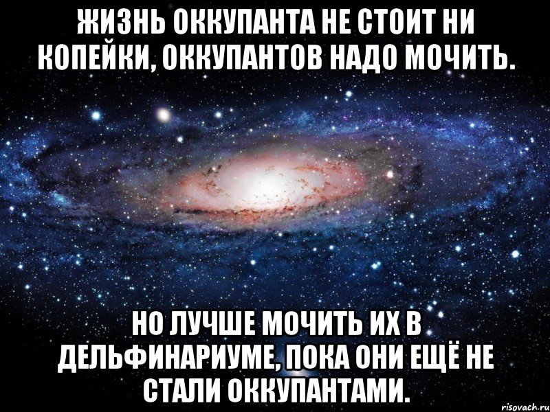 жизнь оккупанта не стоит ни копейки, оккупантов надо мочить. но лучше мочить их в дельфинариуме, пока они ещё не стали оккупантами., Мем Вселенная