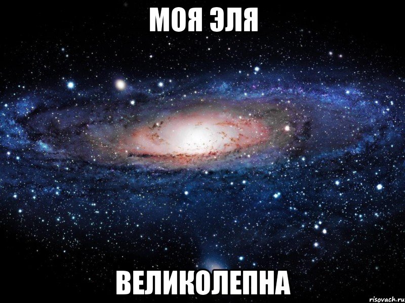 моя эля великолепна, Мем Вселенная