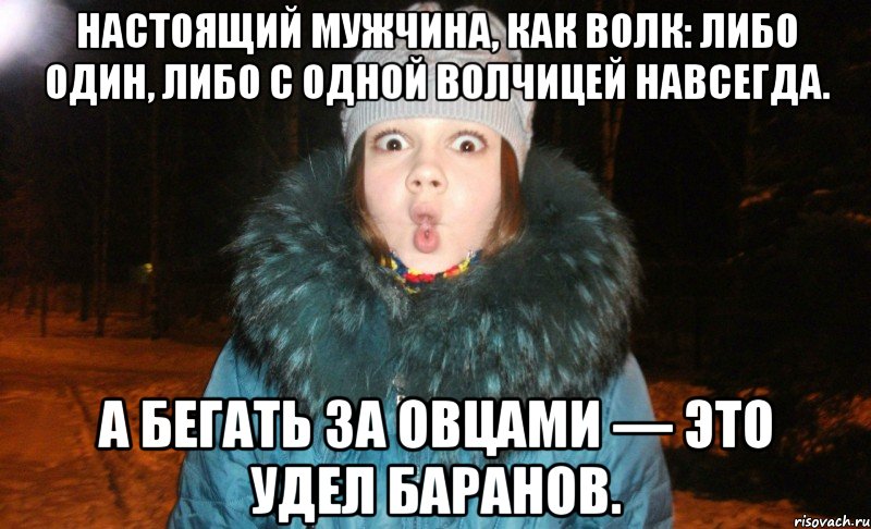настоящий мужчина, как волк: либо один, либо с одной волчицей навсегда. а бегать за овцами — это удел баранов., Мем выаы