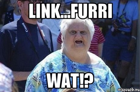 link...furri wat!?, Мем Шта (Бабка wat)