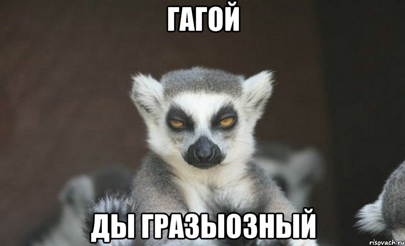 гагой ды гразыозный