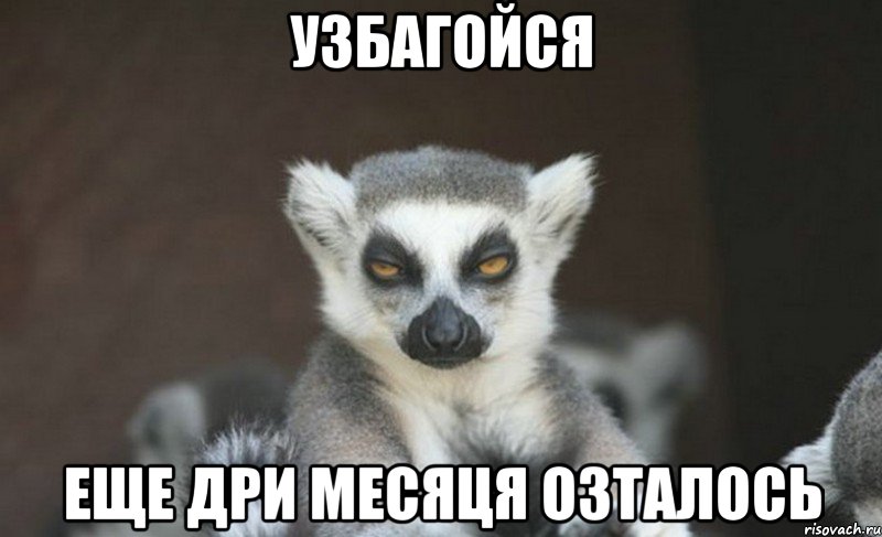 узбагойся еще дри месяця озталось