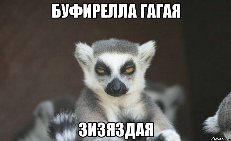 буфирелла гагая зизяздая