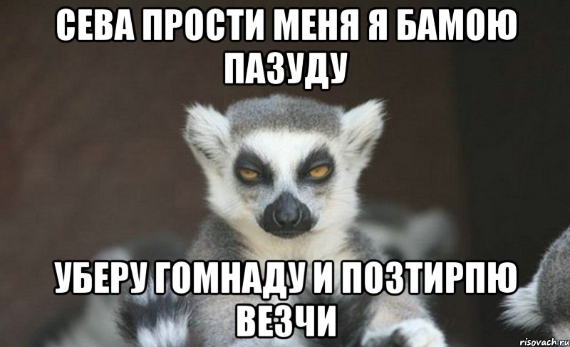 сева прости меня я бамою пазуду уберу гомнаду и позтирпю везчи
