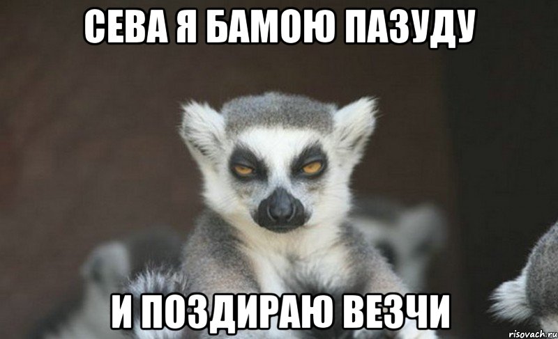 сева я бамою пазуду и поздираю везчи