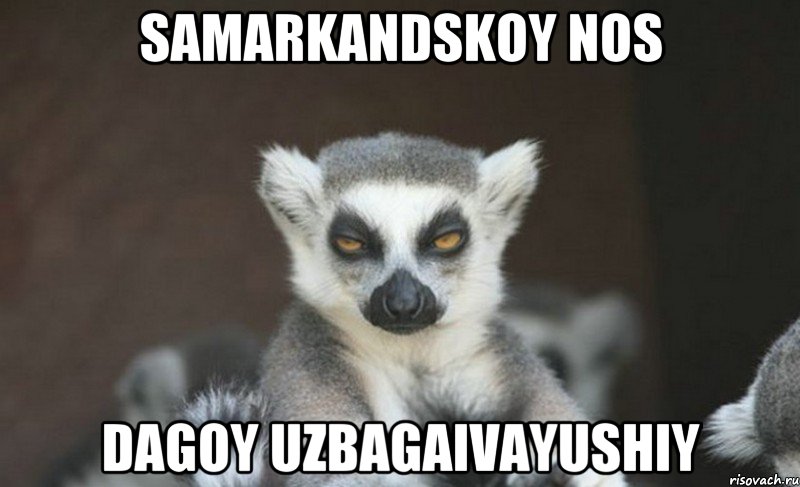samarkandskoy nos dagoy uzbagaivayushiy