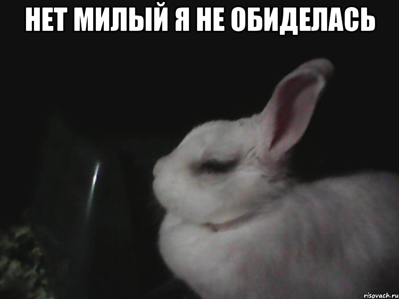 нет милый я не обиделась , Мем я не обиделась