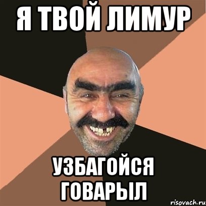 я твой лимур узбагойся говарыл, Мем Я твой дом труба шатал