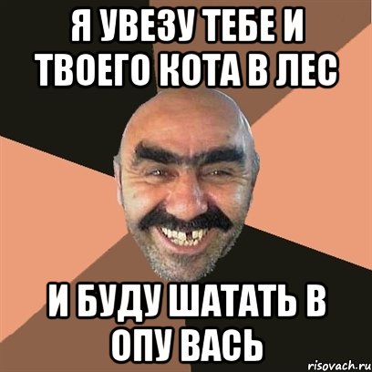 я увезу тебе и твоего кота в лес и буду шатать в опу вась, Мем Я твой дом труба шатал