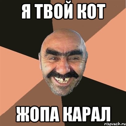 я твой кот жопа карал, Мем Я твой дом труба шатал