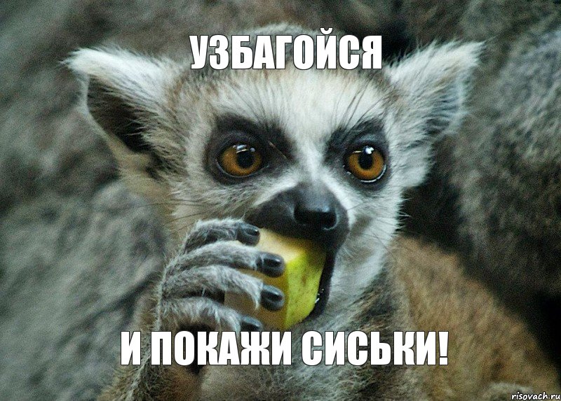 УЗБАГОЙСЯ И ПОКАЖИ СИСЬКИ!, Мем   я вижу ты не узбагоился