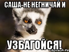 саша-не негничай и узбагойся!, Мем Я збагоен