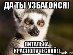 да ты узбагойся! виталька краснолуческий!), Мем Я збагоен